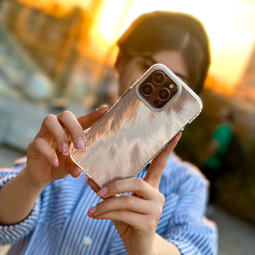 قاب برگ اکلیلی آیفون